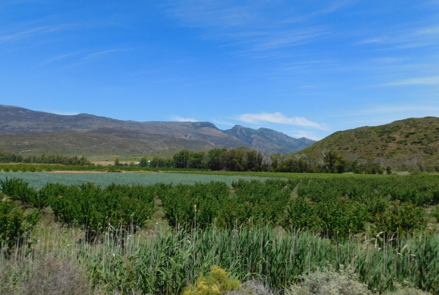 Commercial Property for Sale in Robertson Rural Western Cape